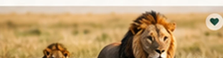Classic Safari Adventure